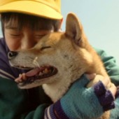 7 bộ phim Nhật về loài chó lấy hết nước mắt người xem